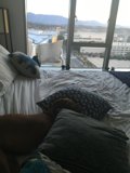 Cozy Canine Retreat