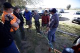 Tree Gathering