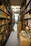 The Towering Tales of the Library