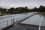 Green Roof Walkway