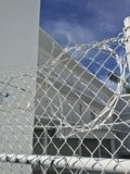 Razor Wire Detail
