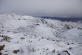 Majestic Winter Wonderland