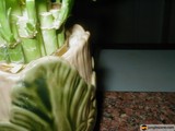 Green Stems in a Pottery Vase