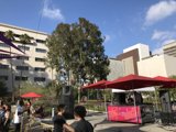 Shōgo Hamada and Friends Take the Stage in Grand Park