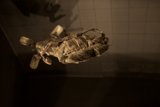 Baseball Glove Fabric Installation