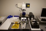 Magnifying the Microscopic World