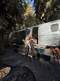 Morning Bliss in the Redwood Grove