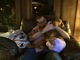 Comfortable Living Room Companion
