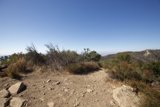 Trail to the Summit