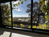 Through the Window: A View of the Scribe Vineyard