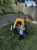 Backyard Adventures