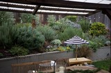 Cozy Backyard Garden Patio with Lush Plantings