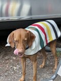 Colorful Stripes Dog Sweater