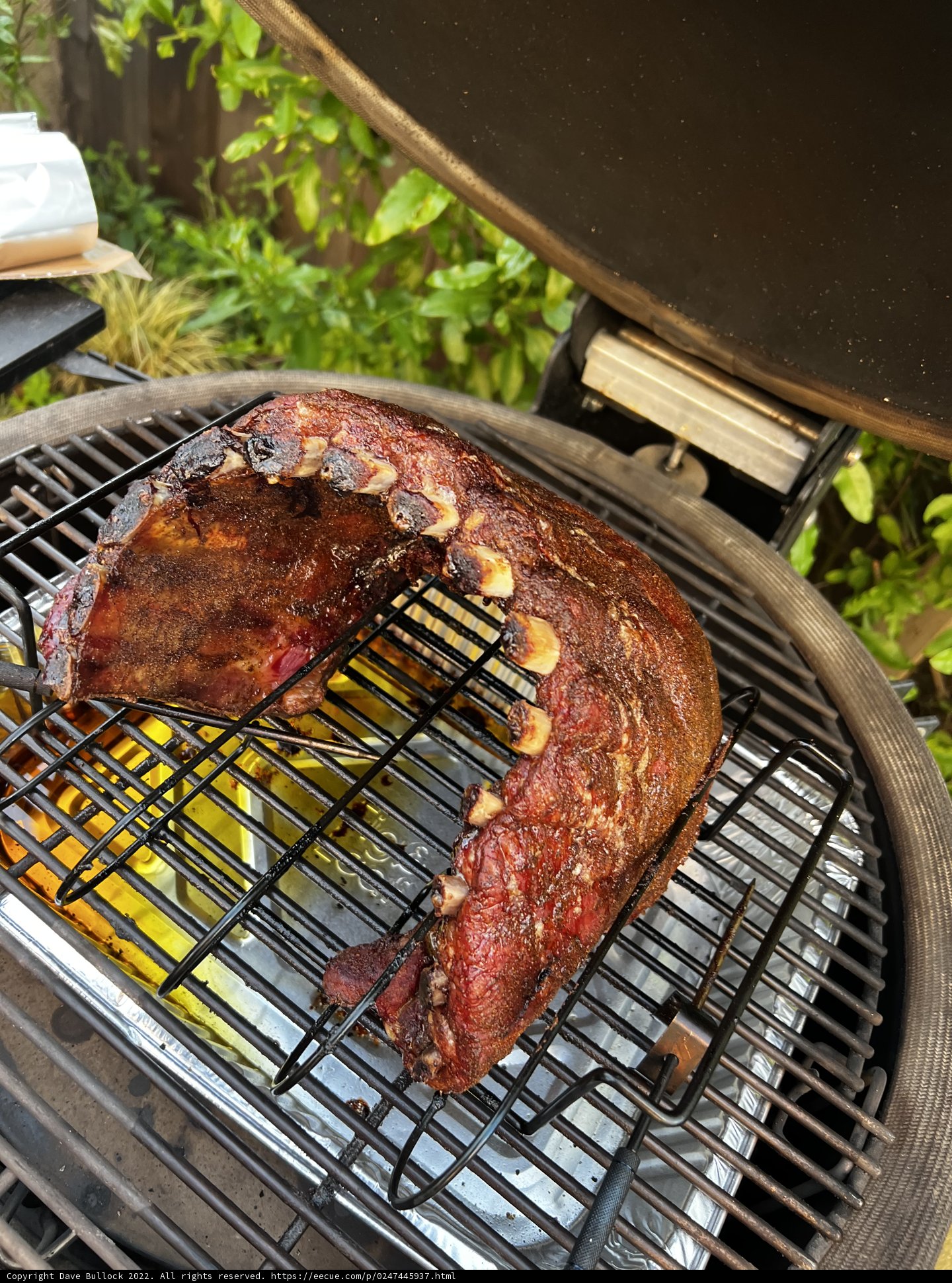Sizzling BBQ Spareribs