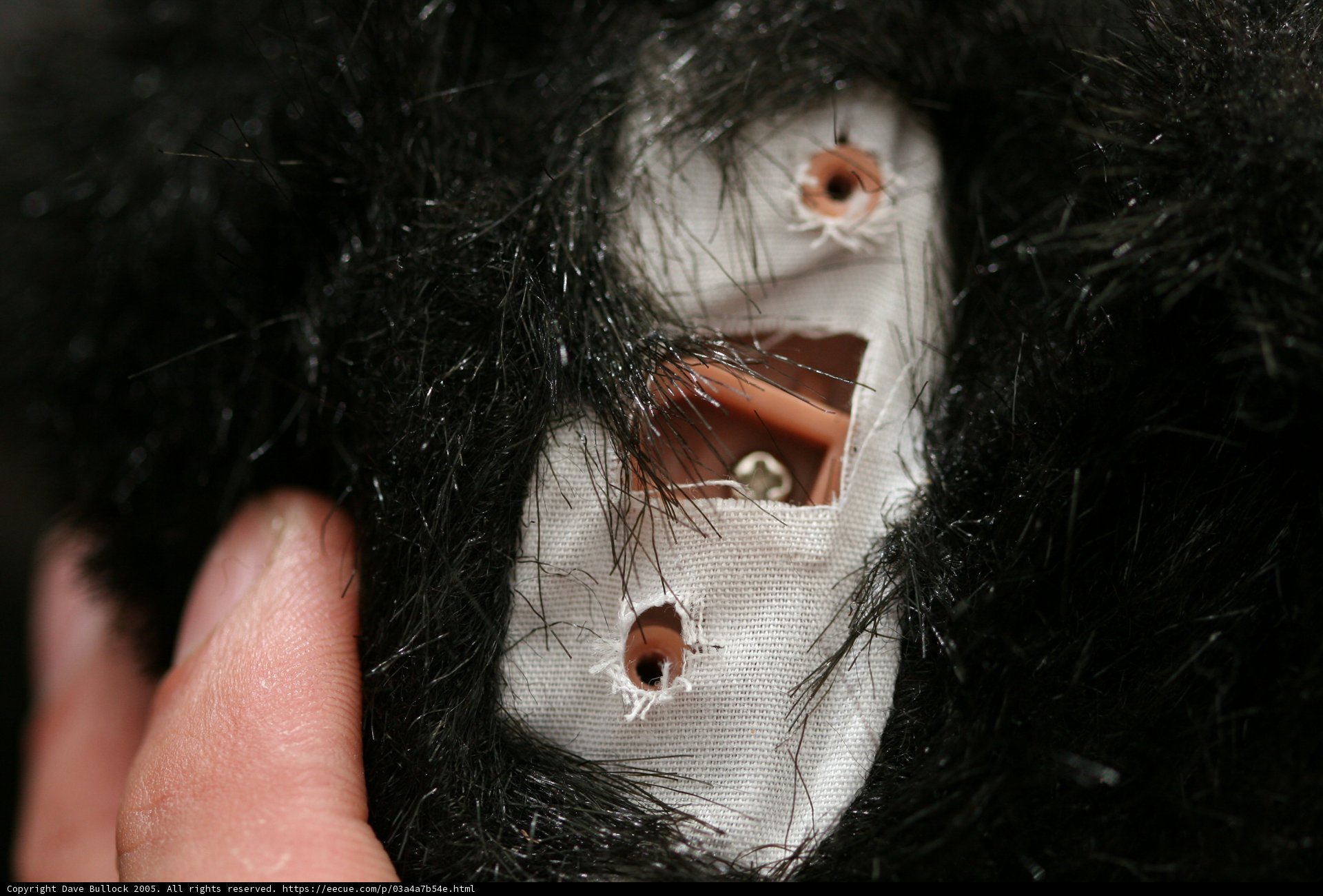 Hole-y Fur