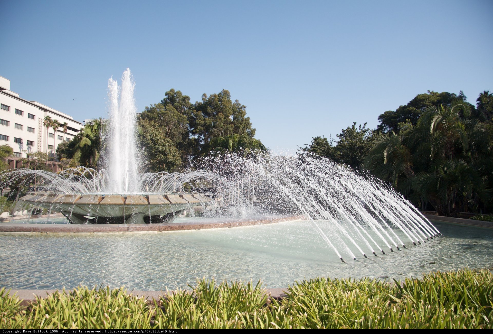 Serene fountain in the heart of the park