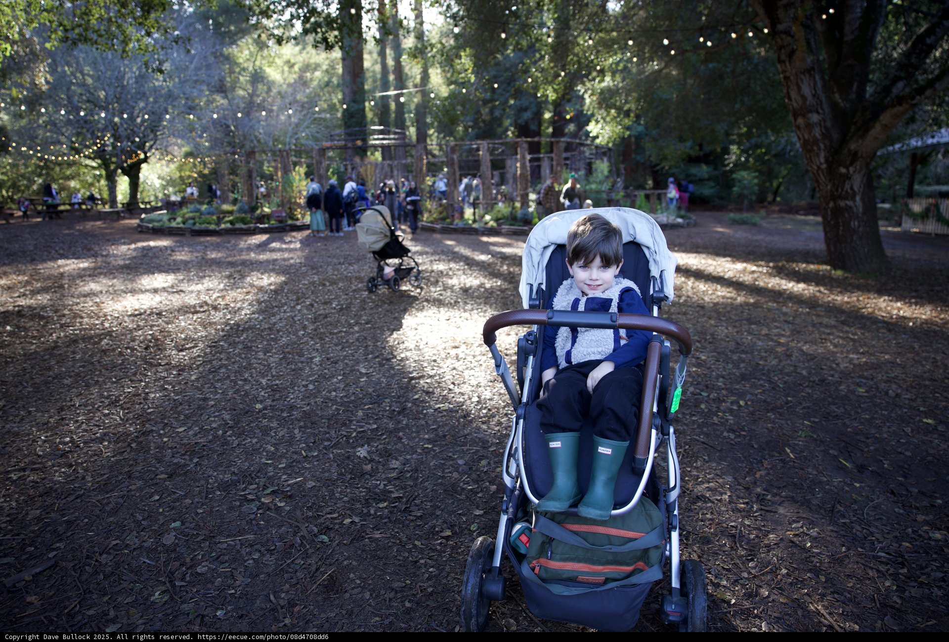 Wesley's Autumn Day at Thistlewyck Grove, Filoli