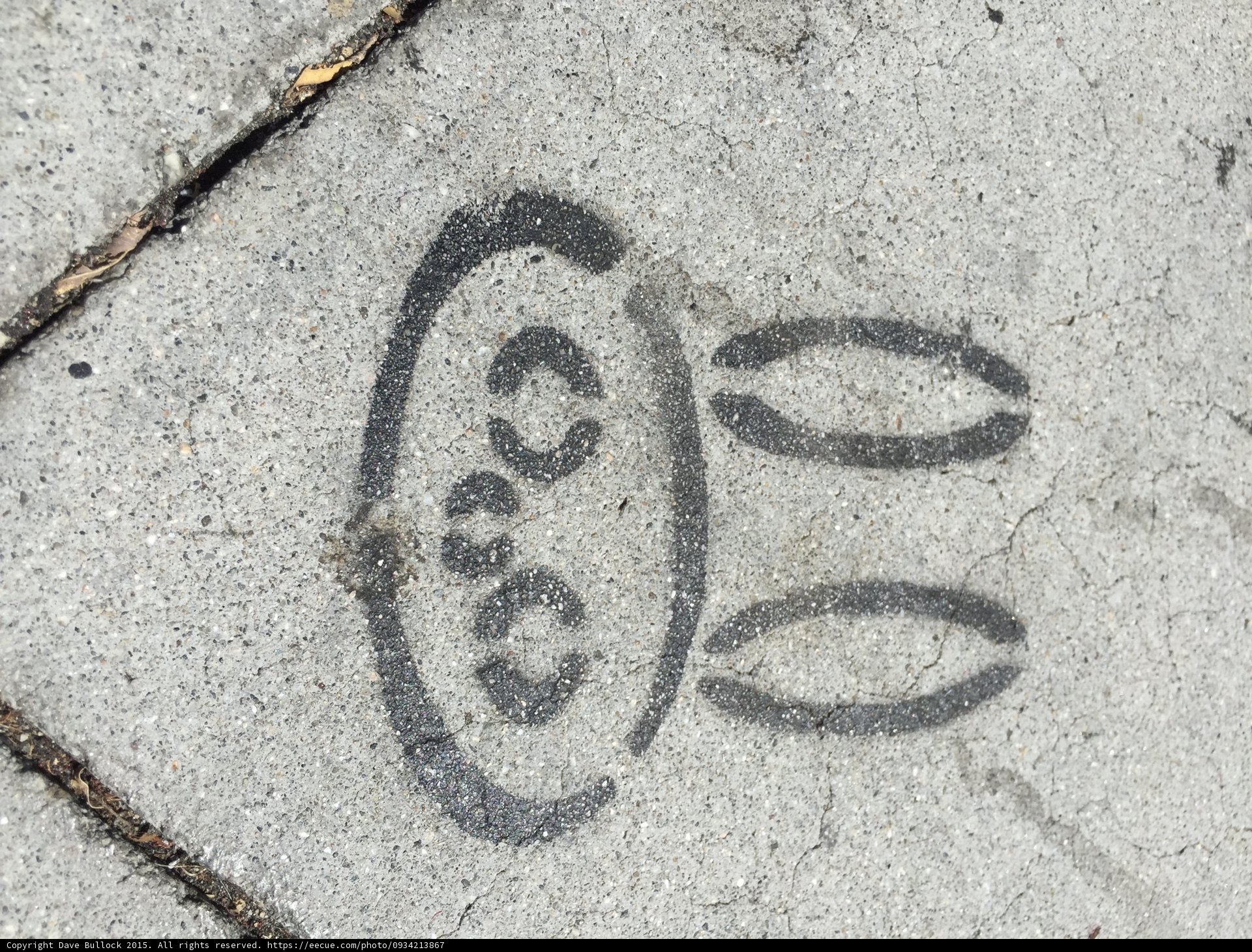 Hopscotch Bunny
