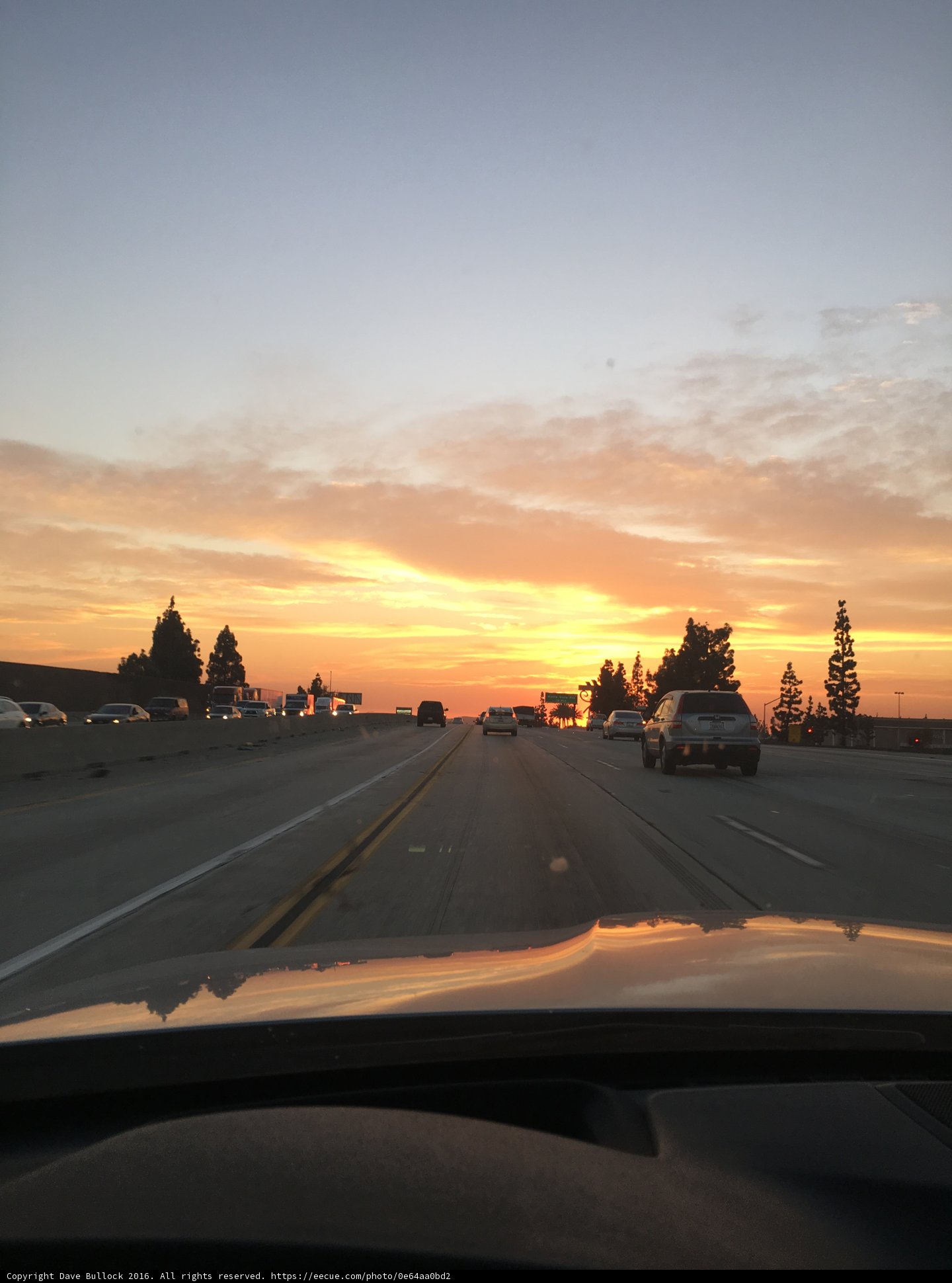 Sunset Drive on the Freeway