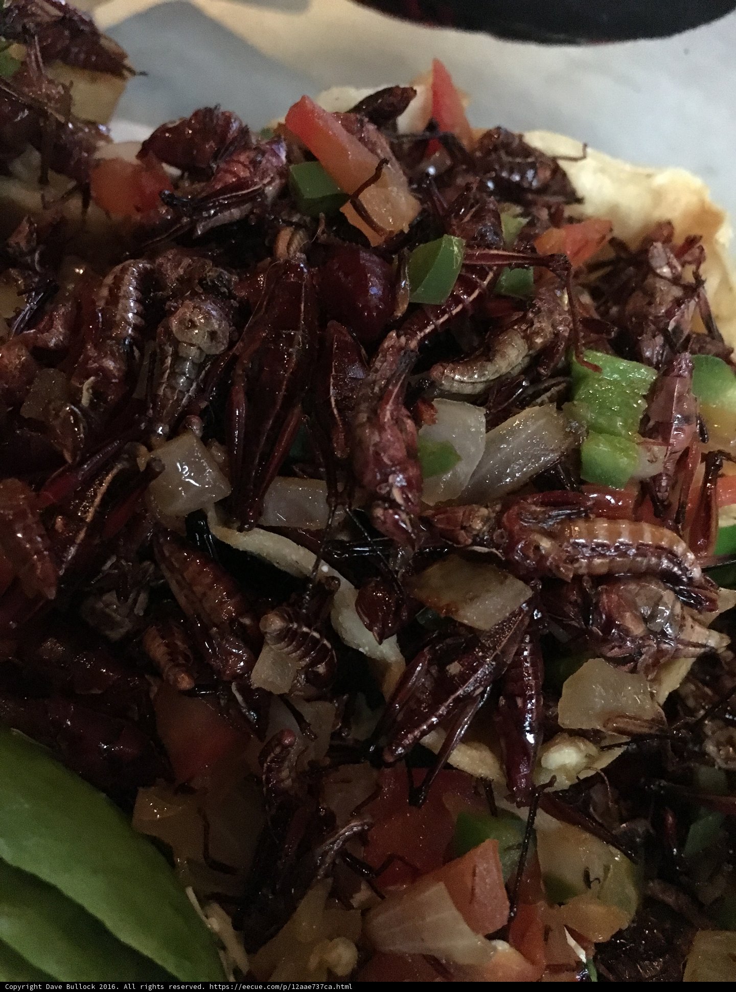 Fried Insects with Green Onions