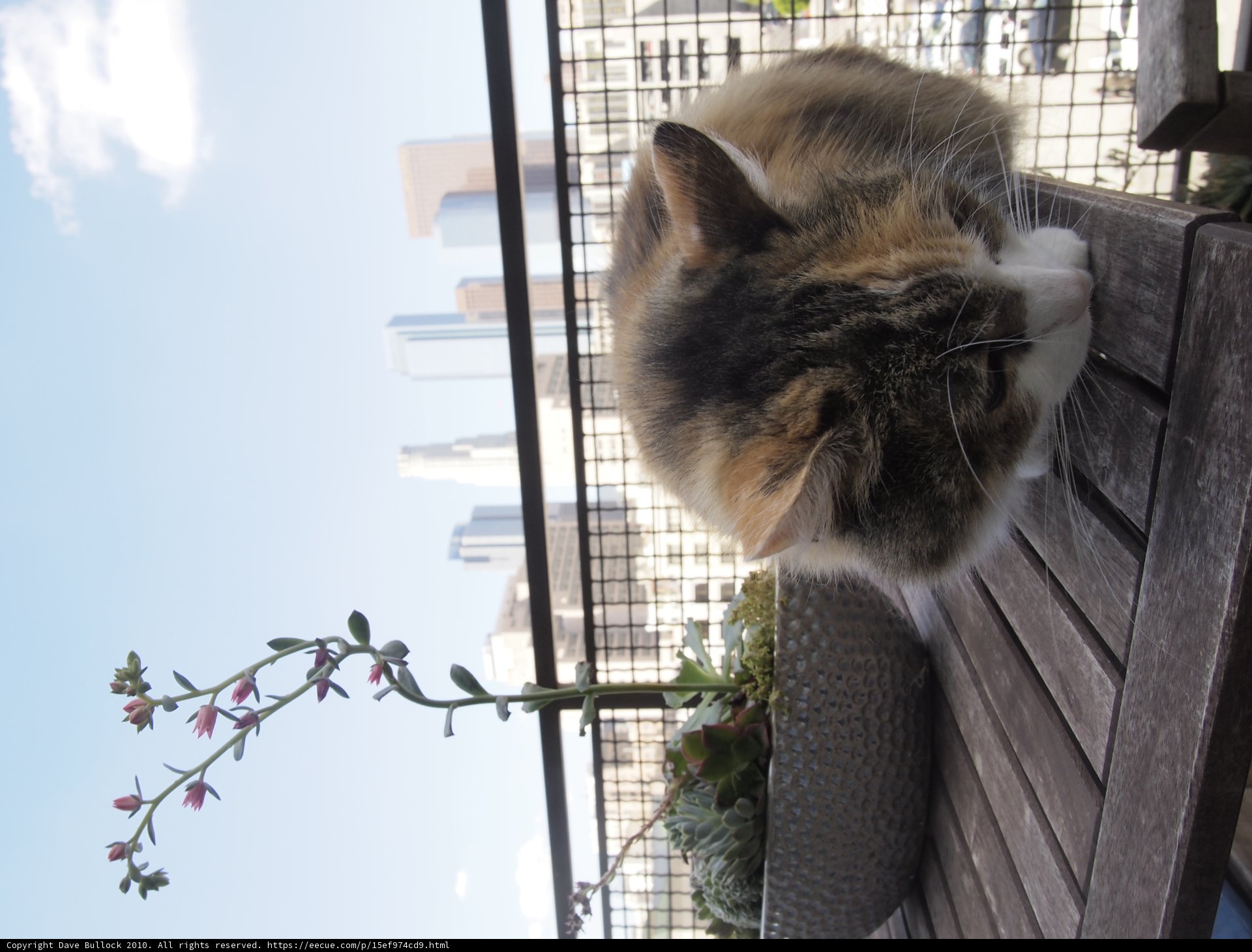 Serenity on the Porch
