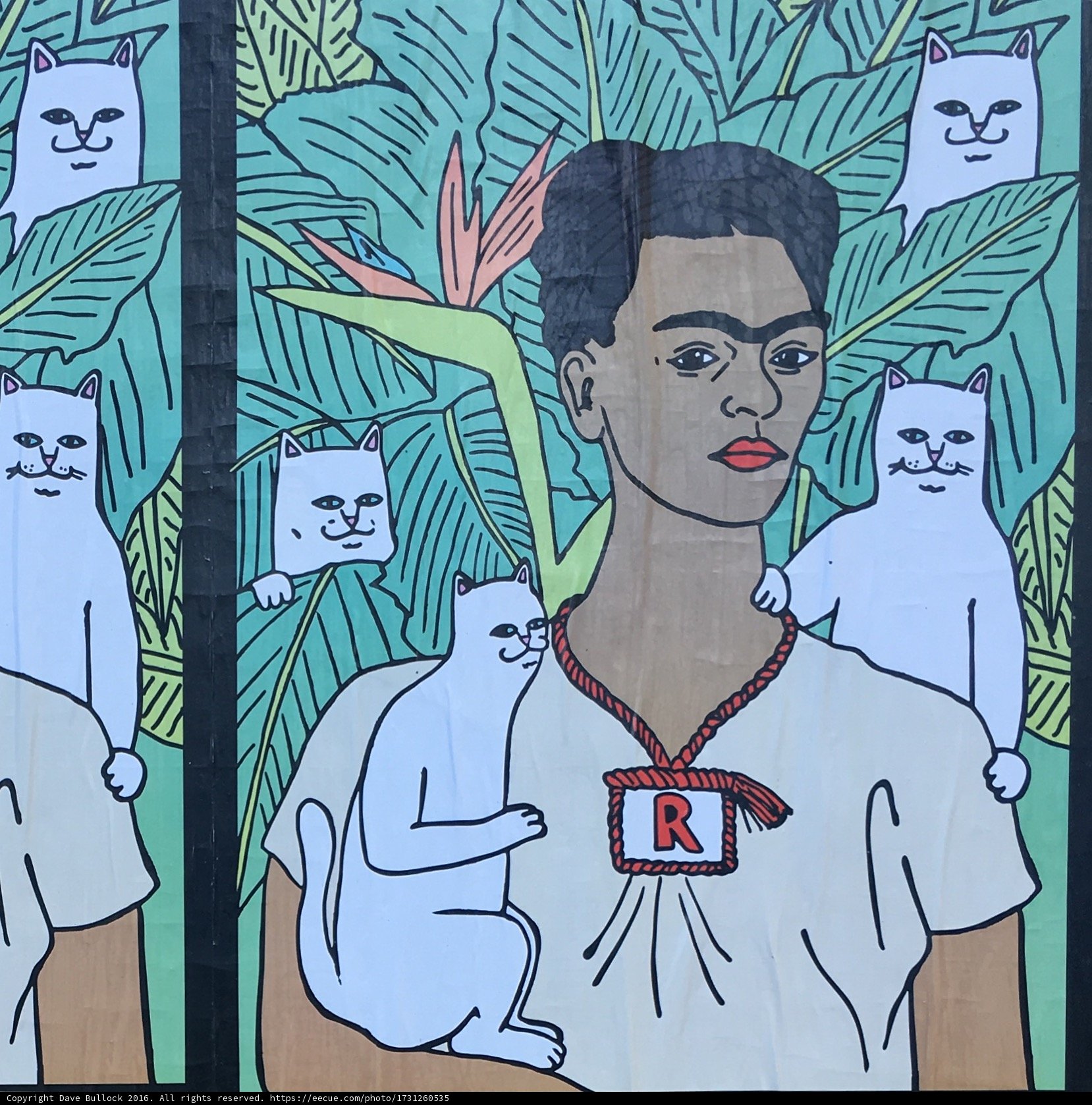Frida Kahlo and her furry friends in Mexico City