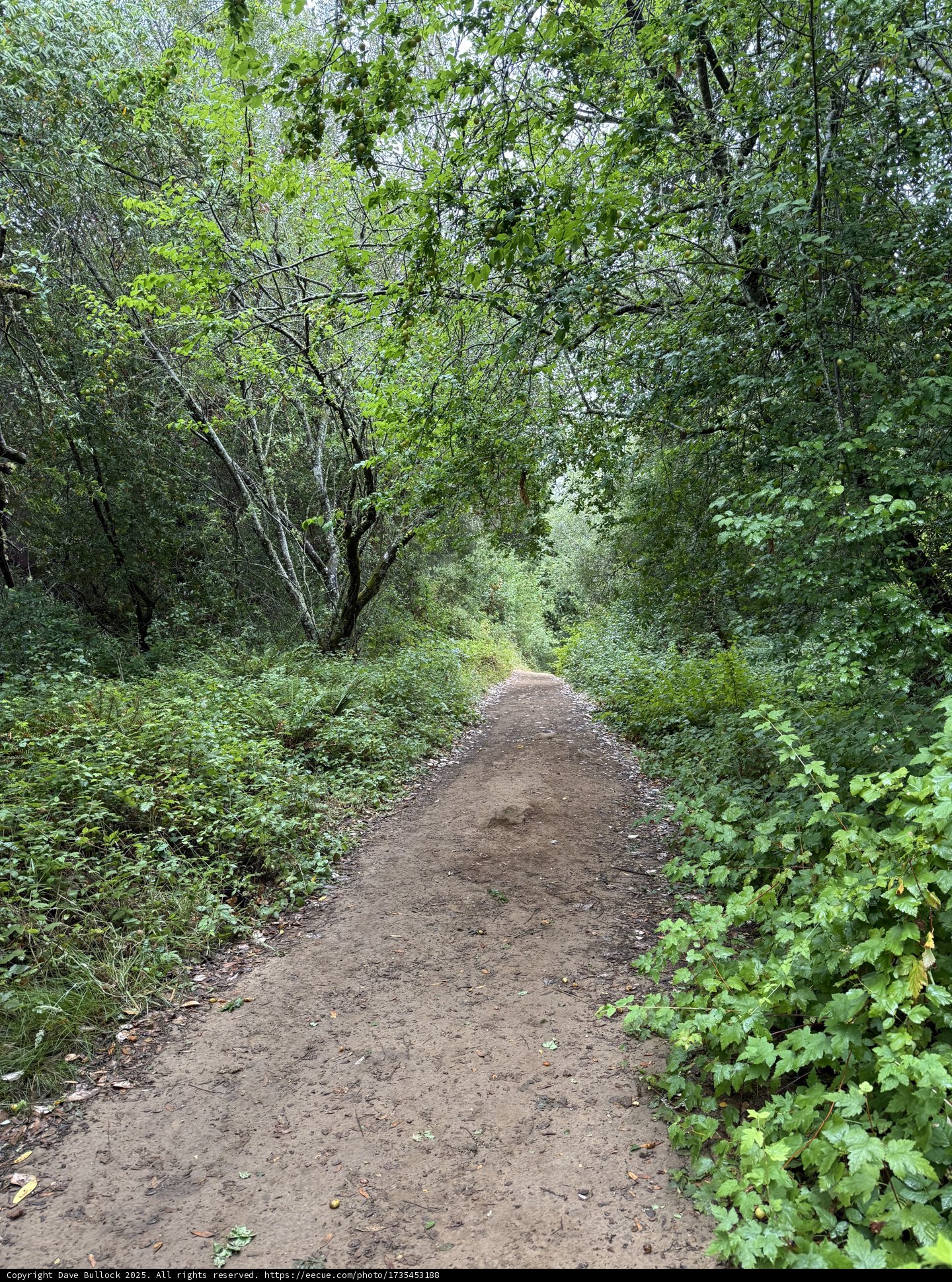 Nature's Pathway