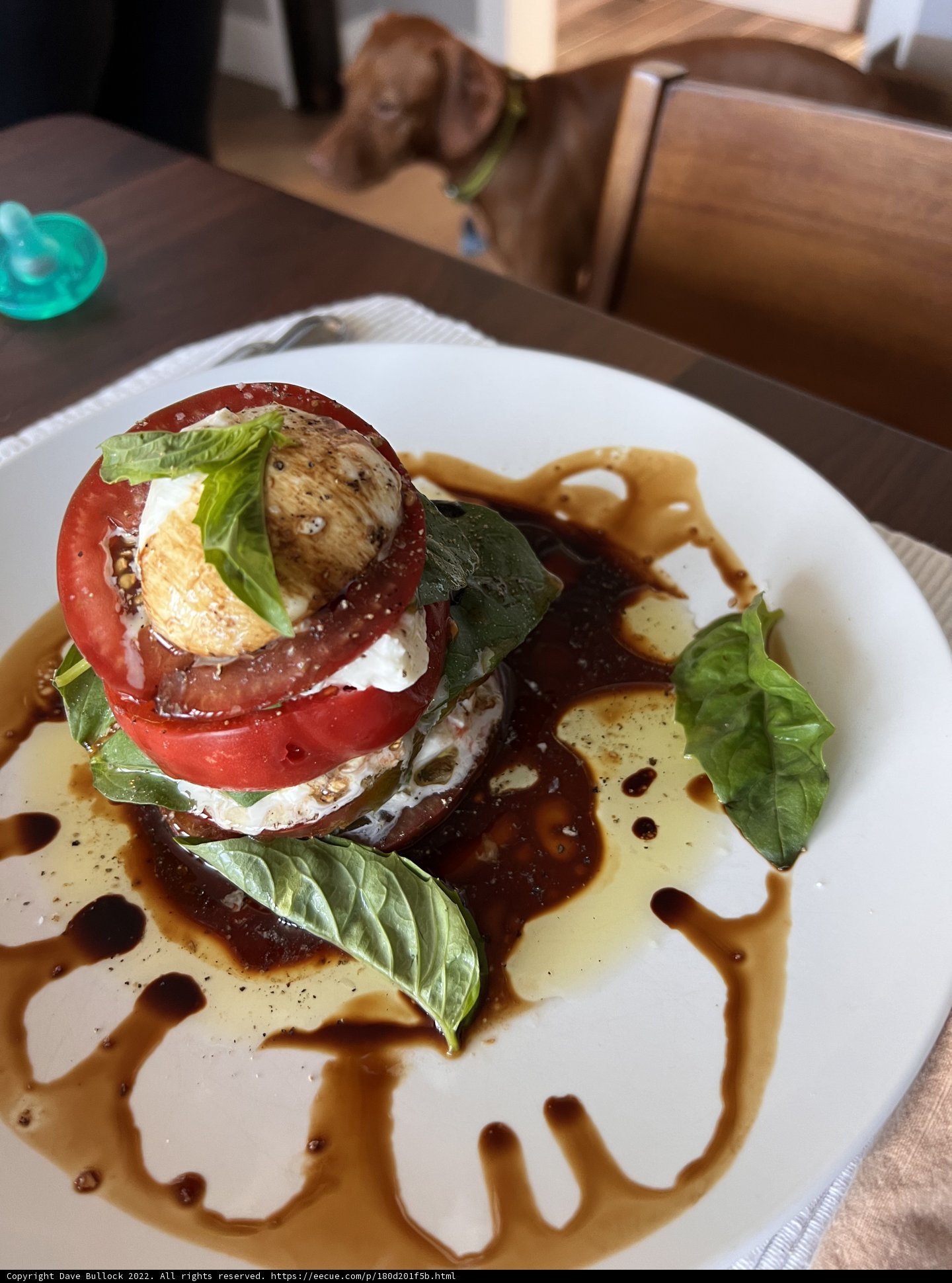 Tomato and Egg Caprese Plate