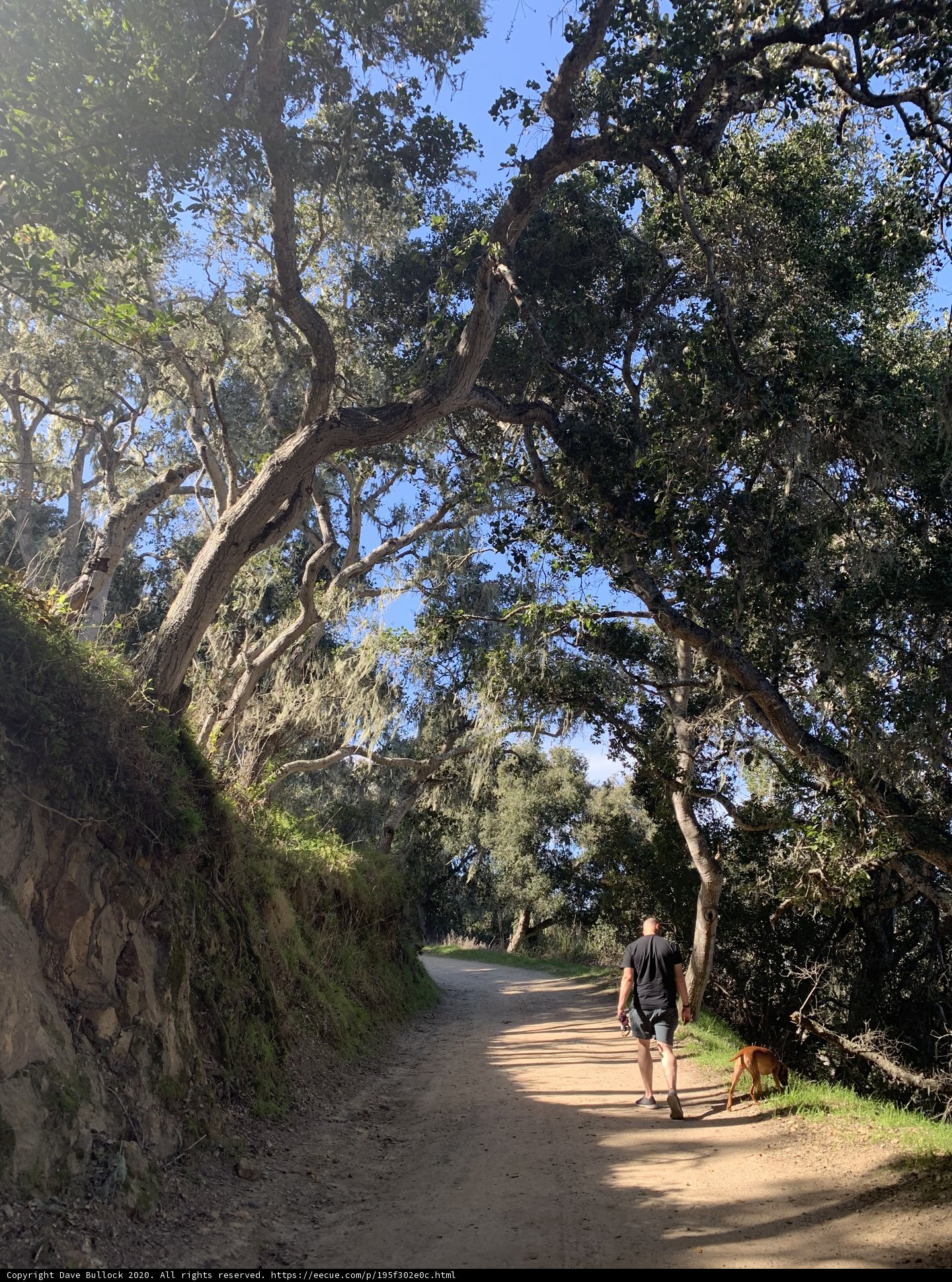 A Peaceful Stroll in Nature