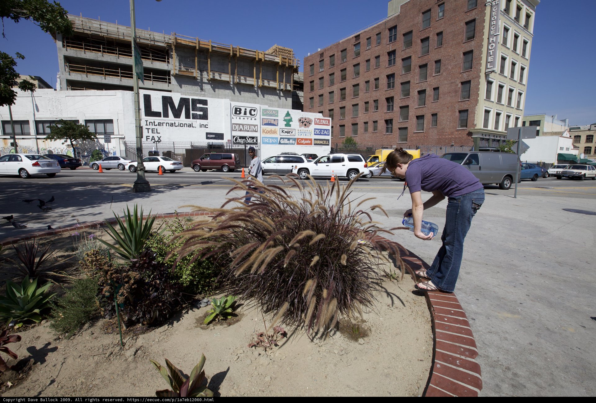 City Park Plant Watering