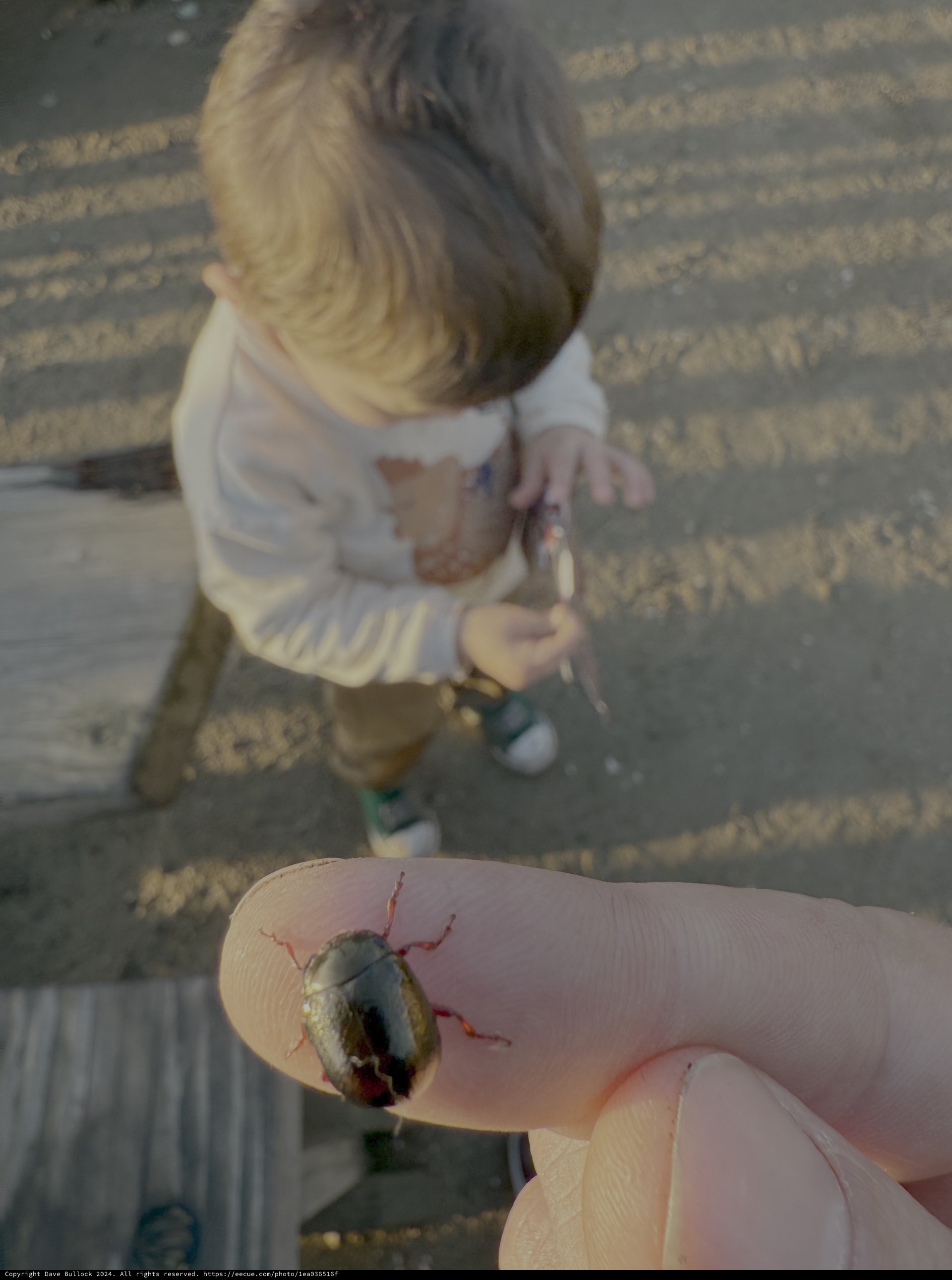Tiny Discoveries in Marshall