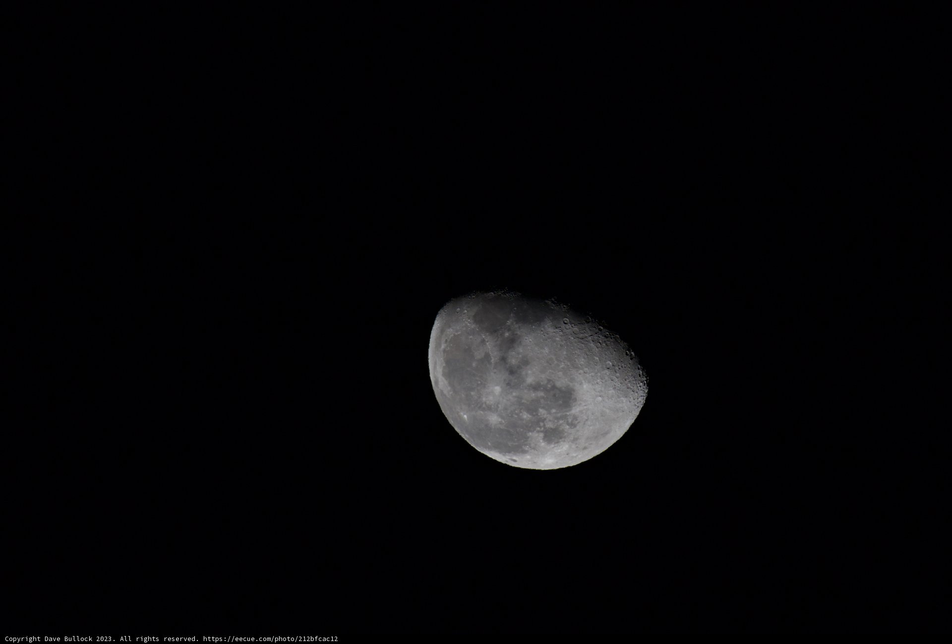 Celestial Symphony in Monochrome