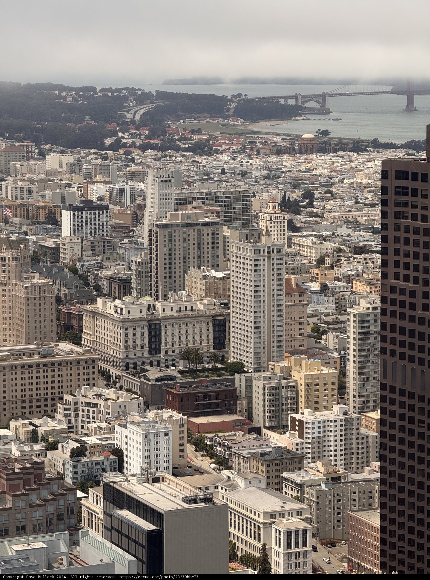 Urban Majesty