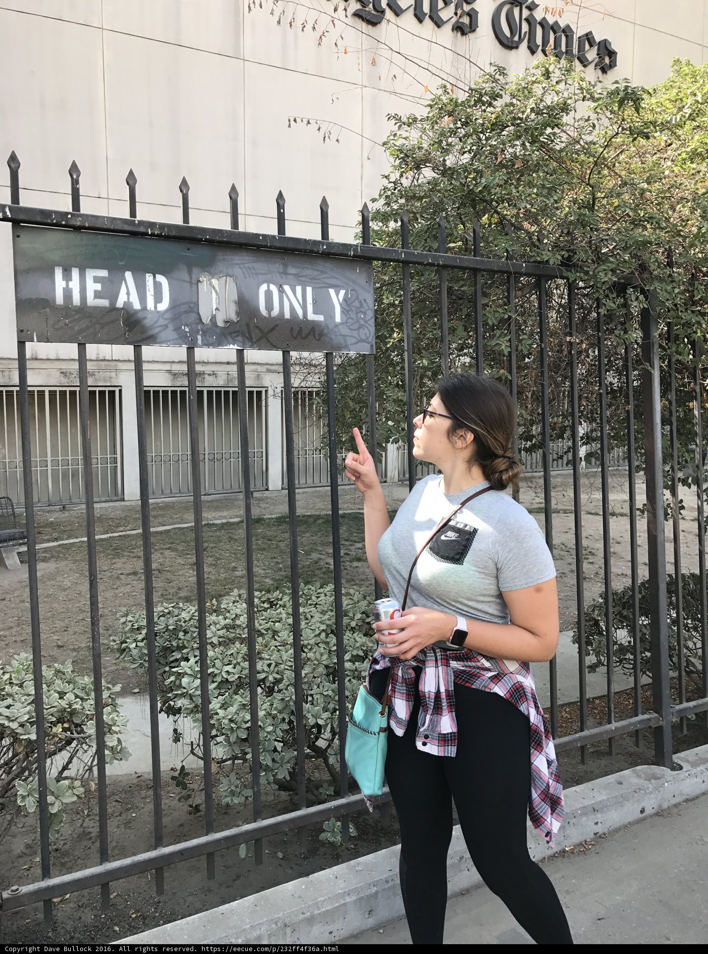 Head Only Zone