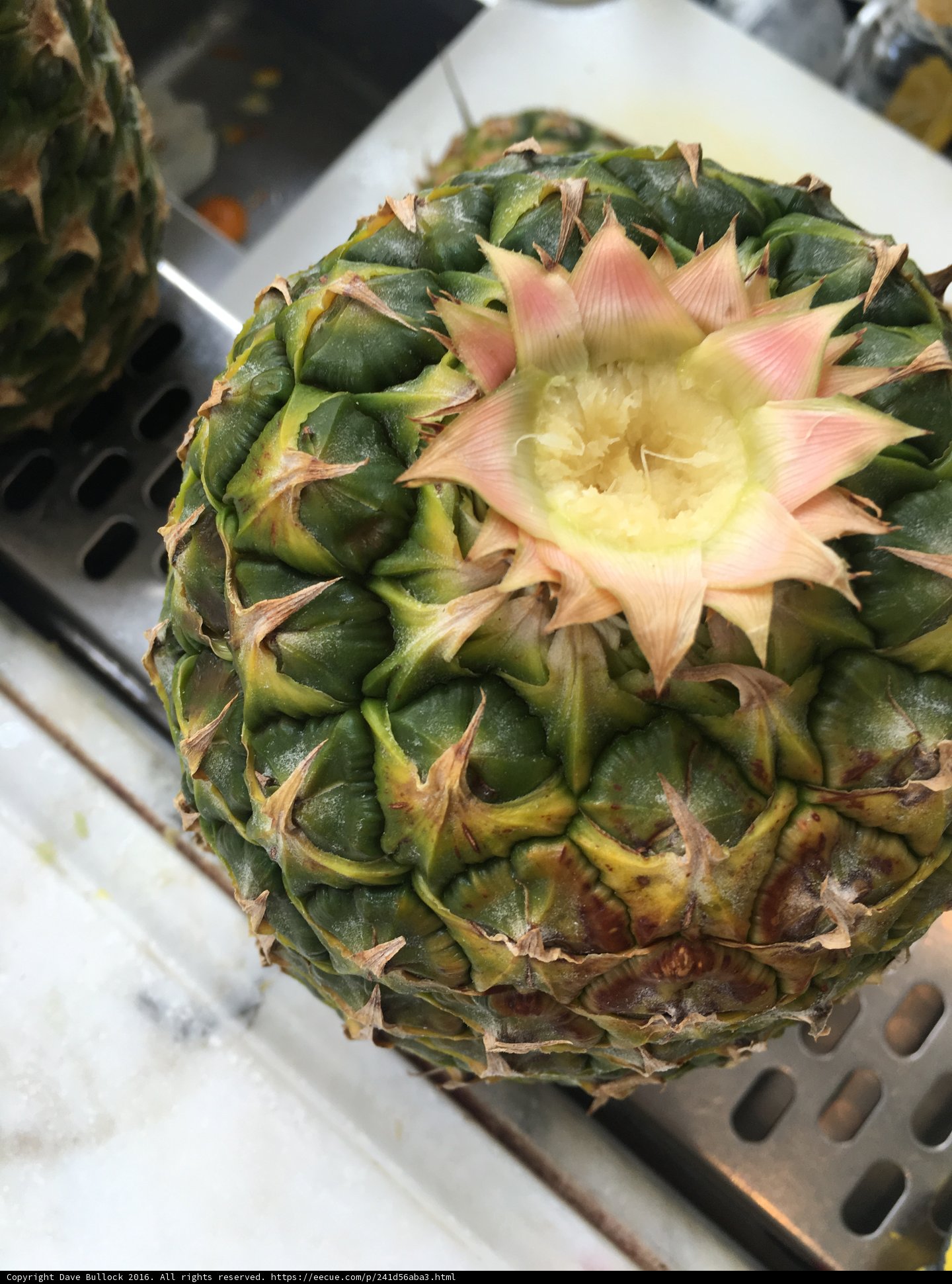 Pineapple Blossom