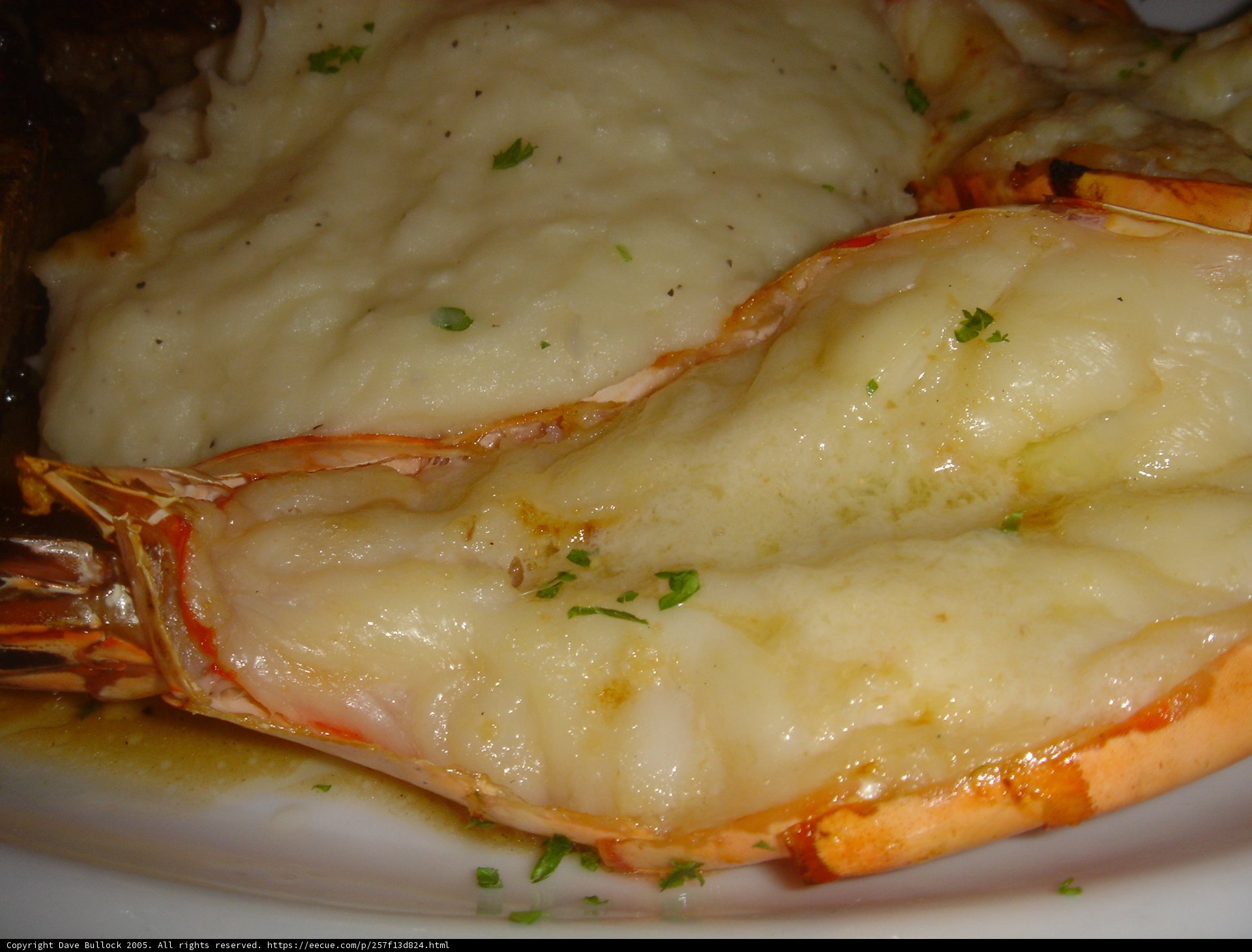 Lobster and Mashed Potatoes Delight