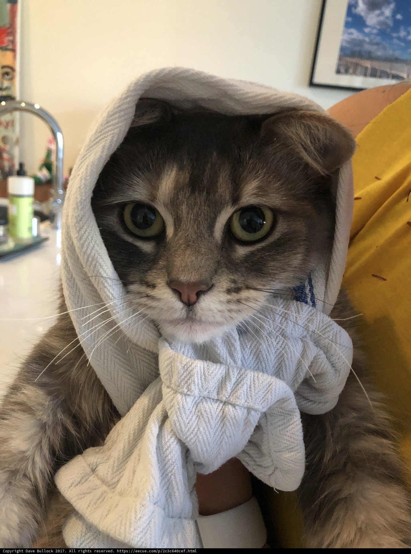 Towel Head