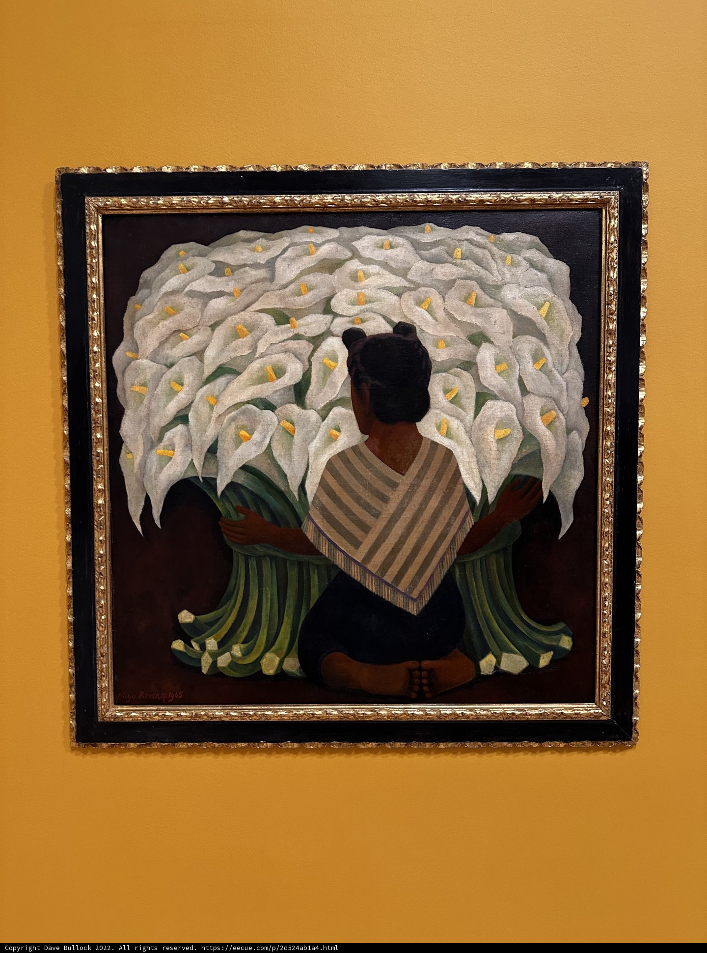 Flowers and a Yellow Wall