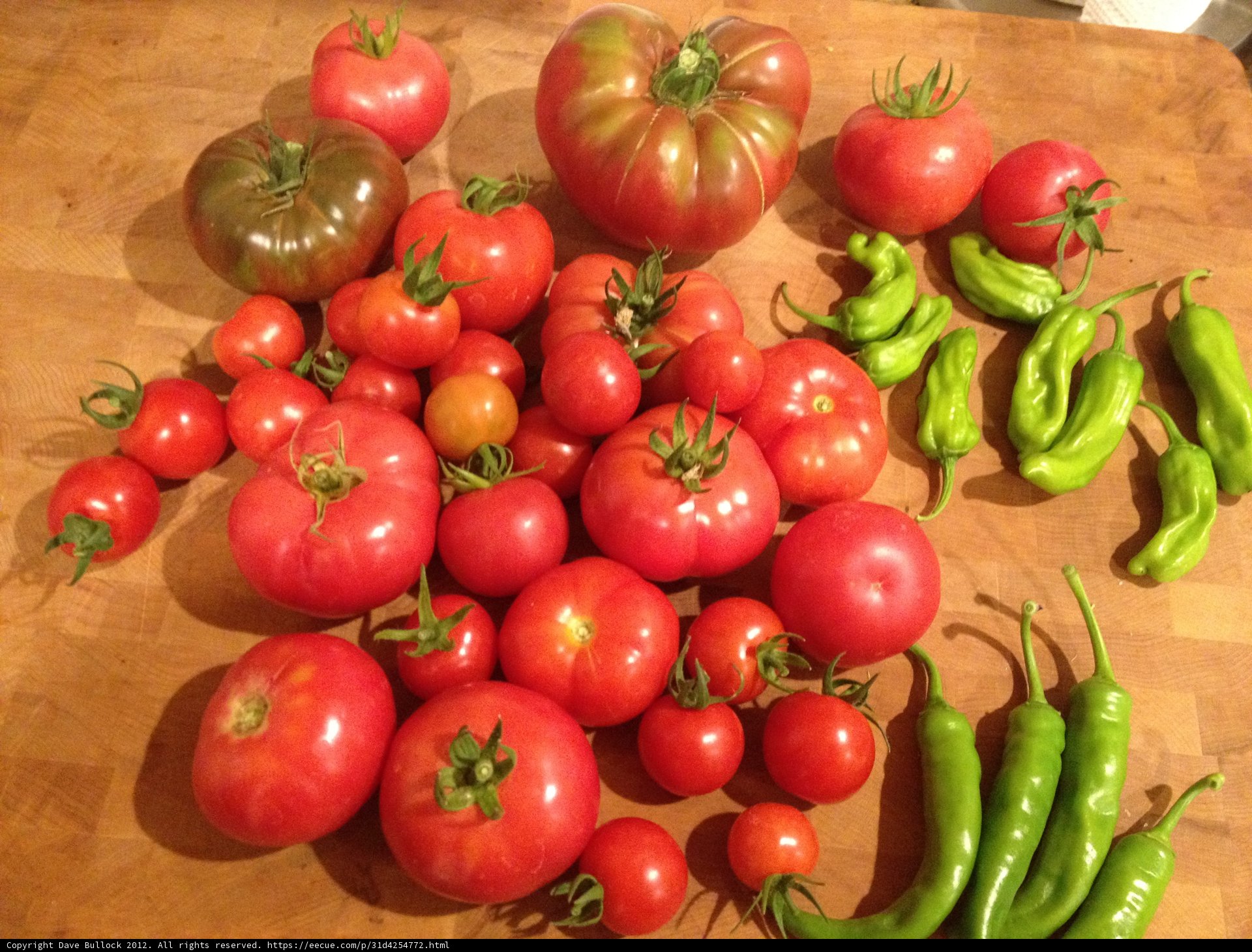 Fresh Tomatoes and Peppers