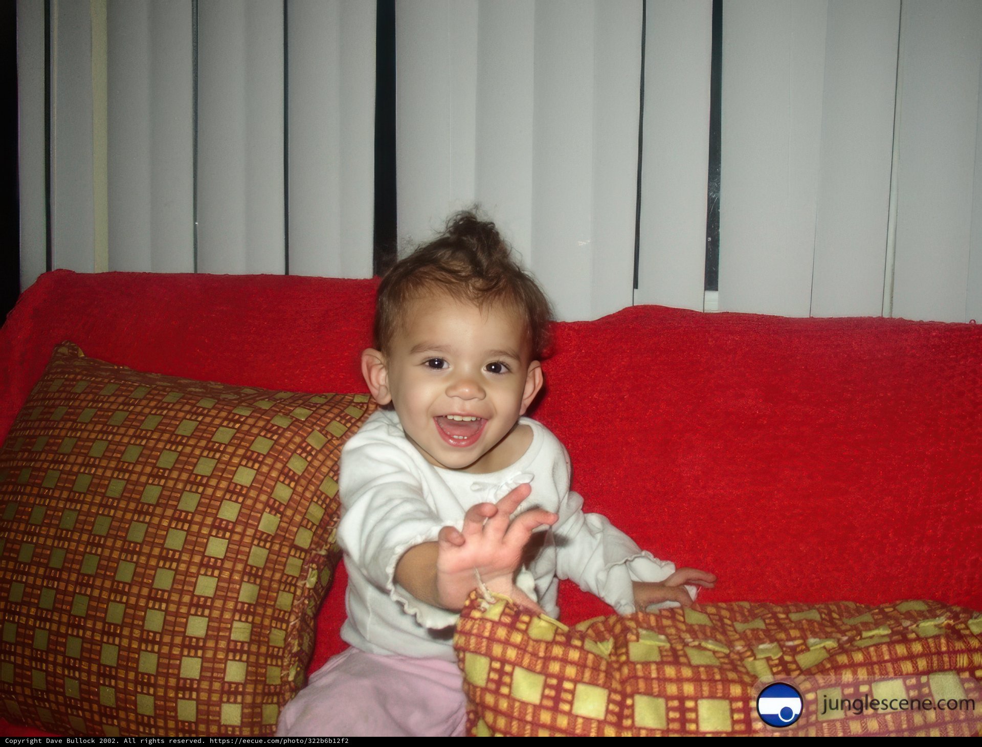 Happy Baby on the Cushioned Couch