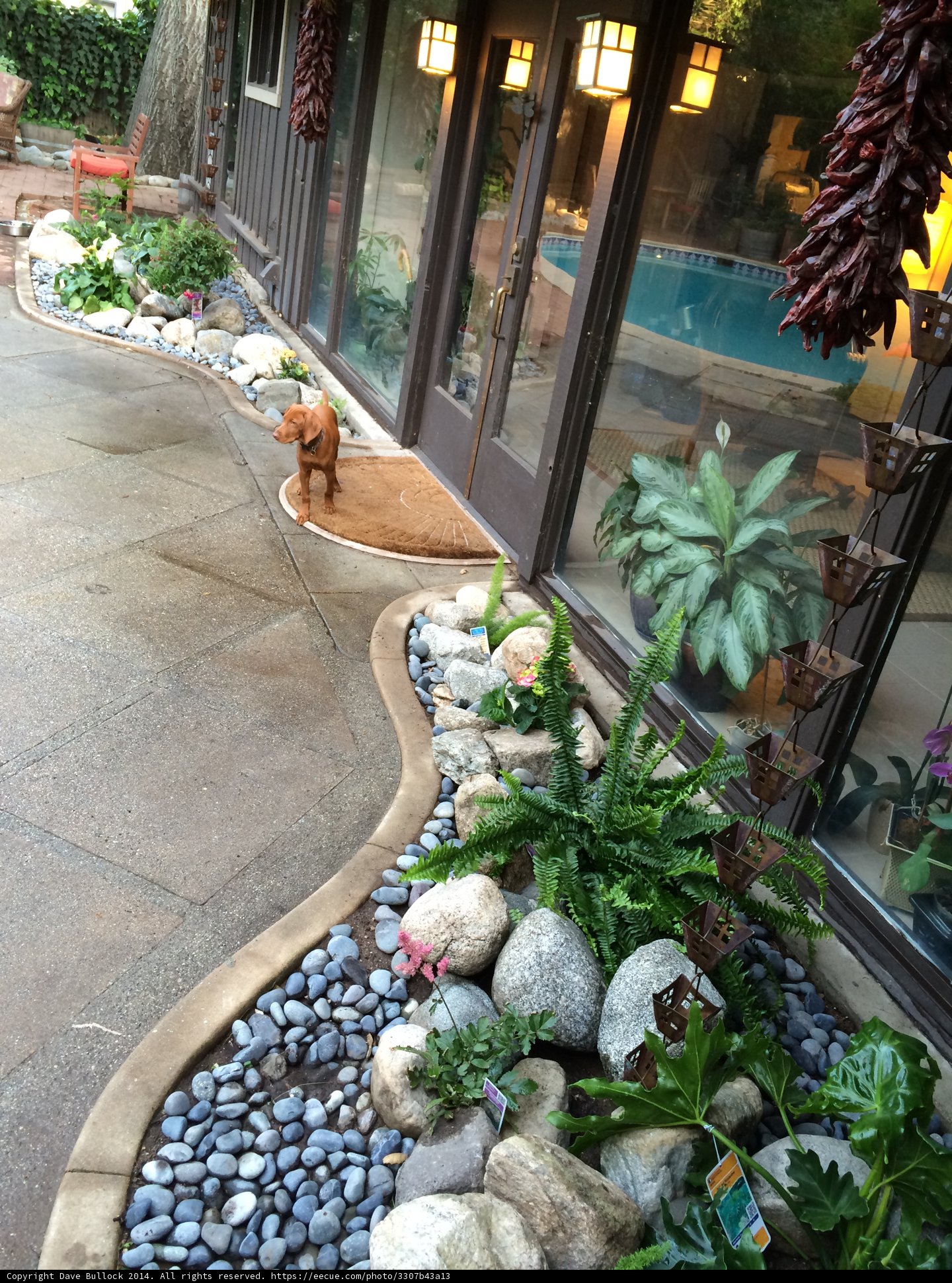 Serene Patio with Foliage and Rocks