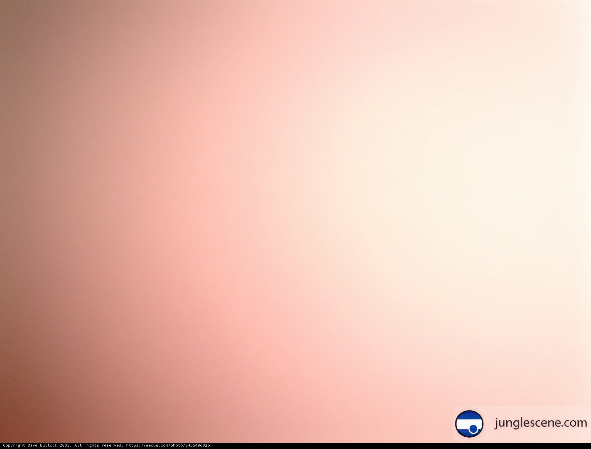 Serene Skies