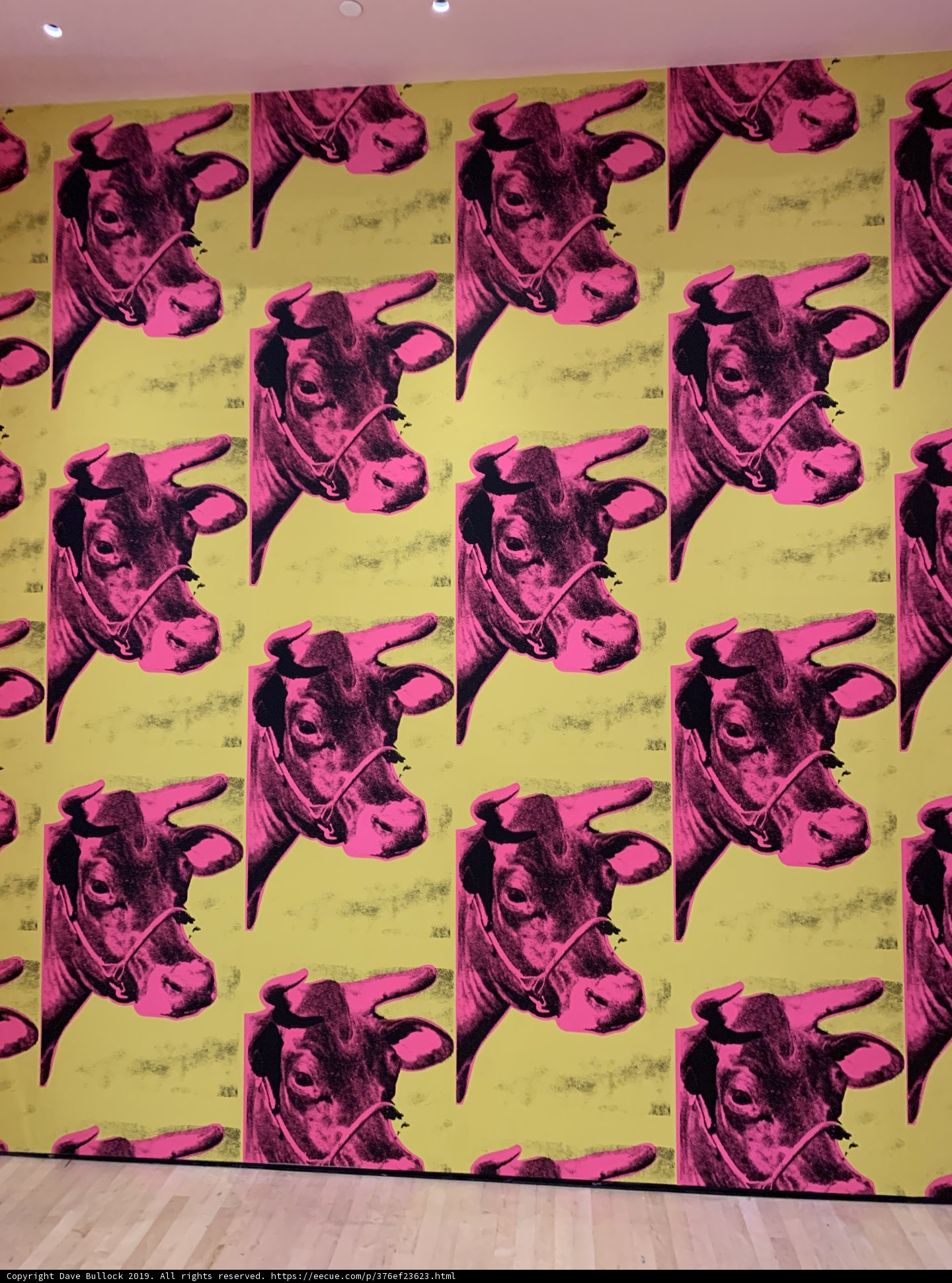 Pink and Yellow Cow Head Mural on Wall