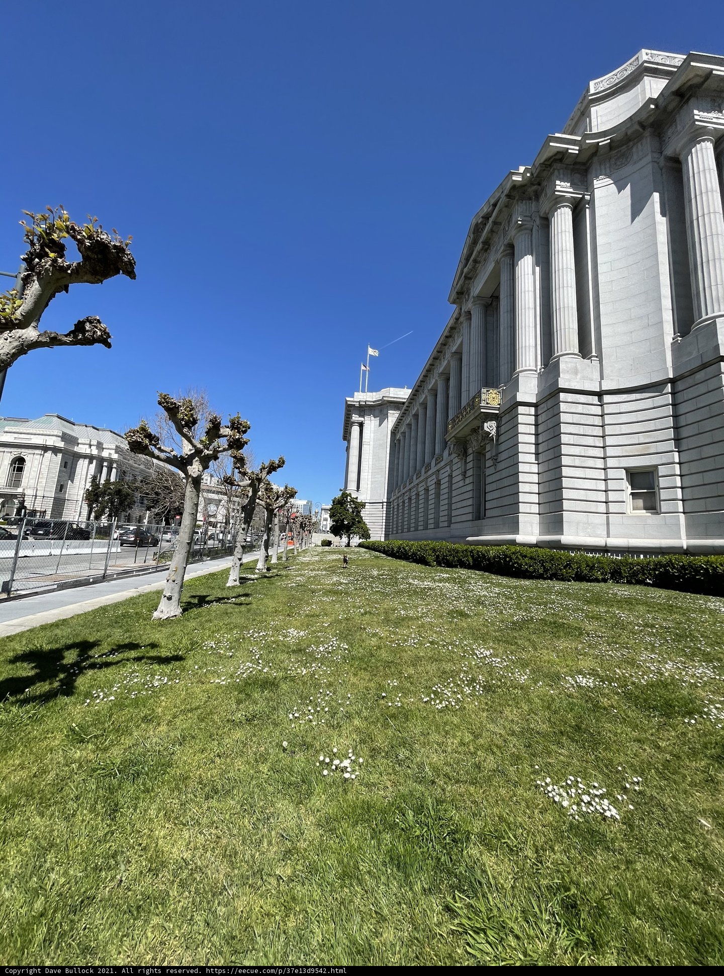 San Francisco City Hall in the Bright Light of Day