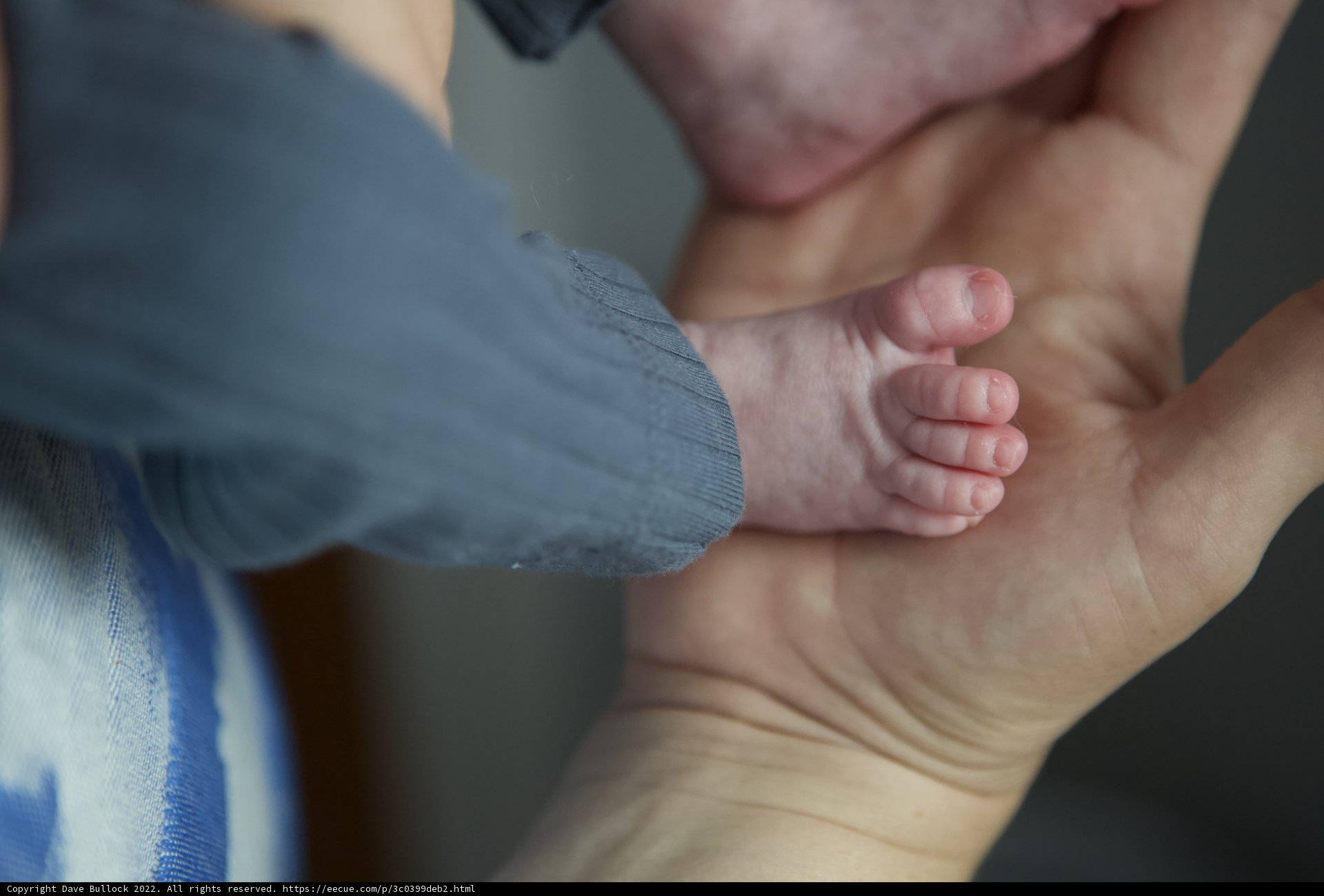 Tender little toes