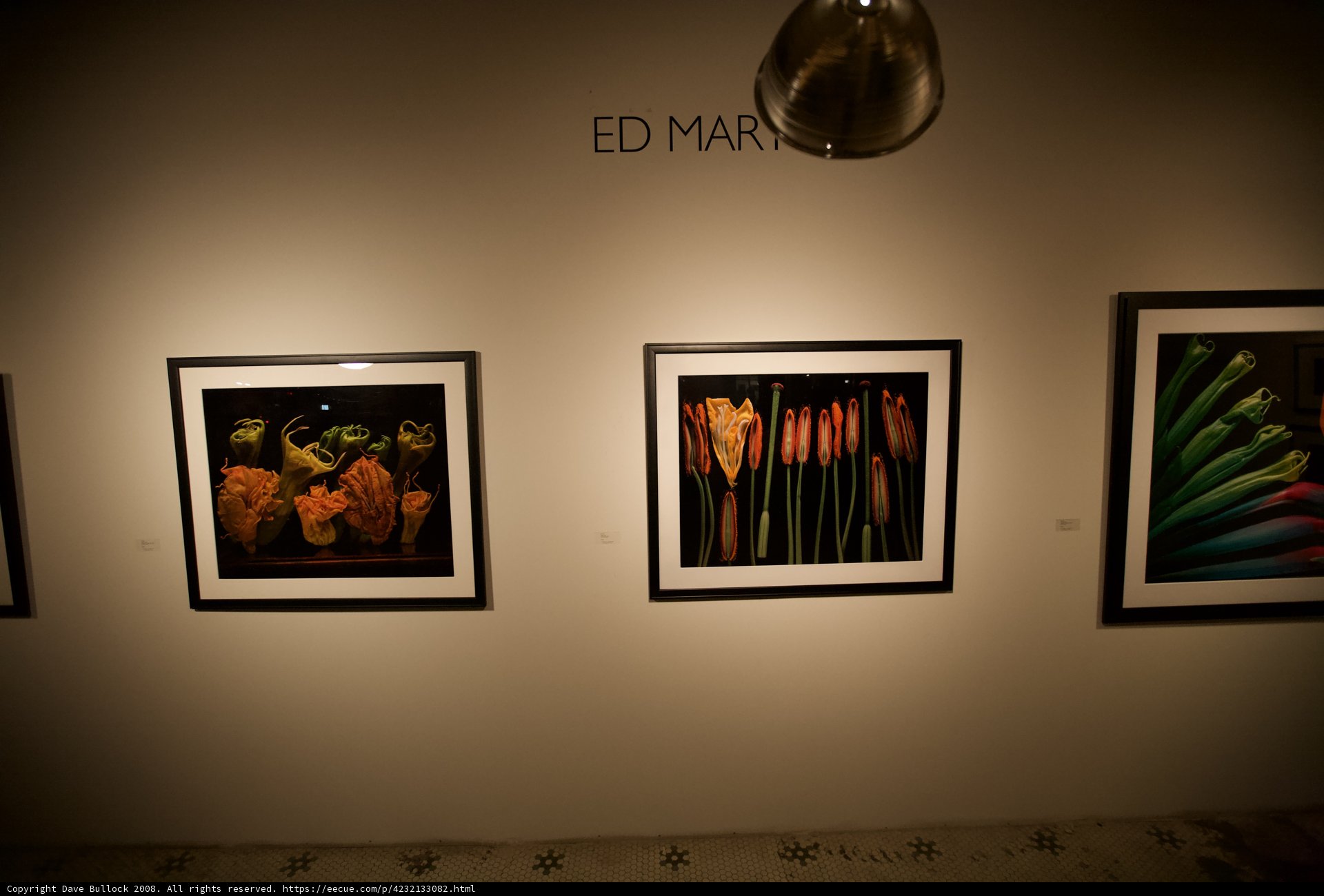 Ed Man's Captivating Art Exhibition at MoMA Gallery