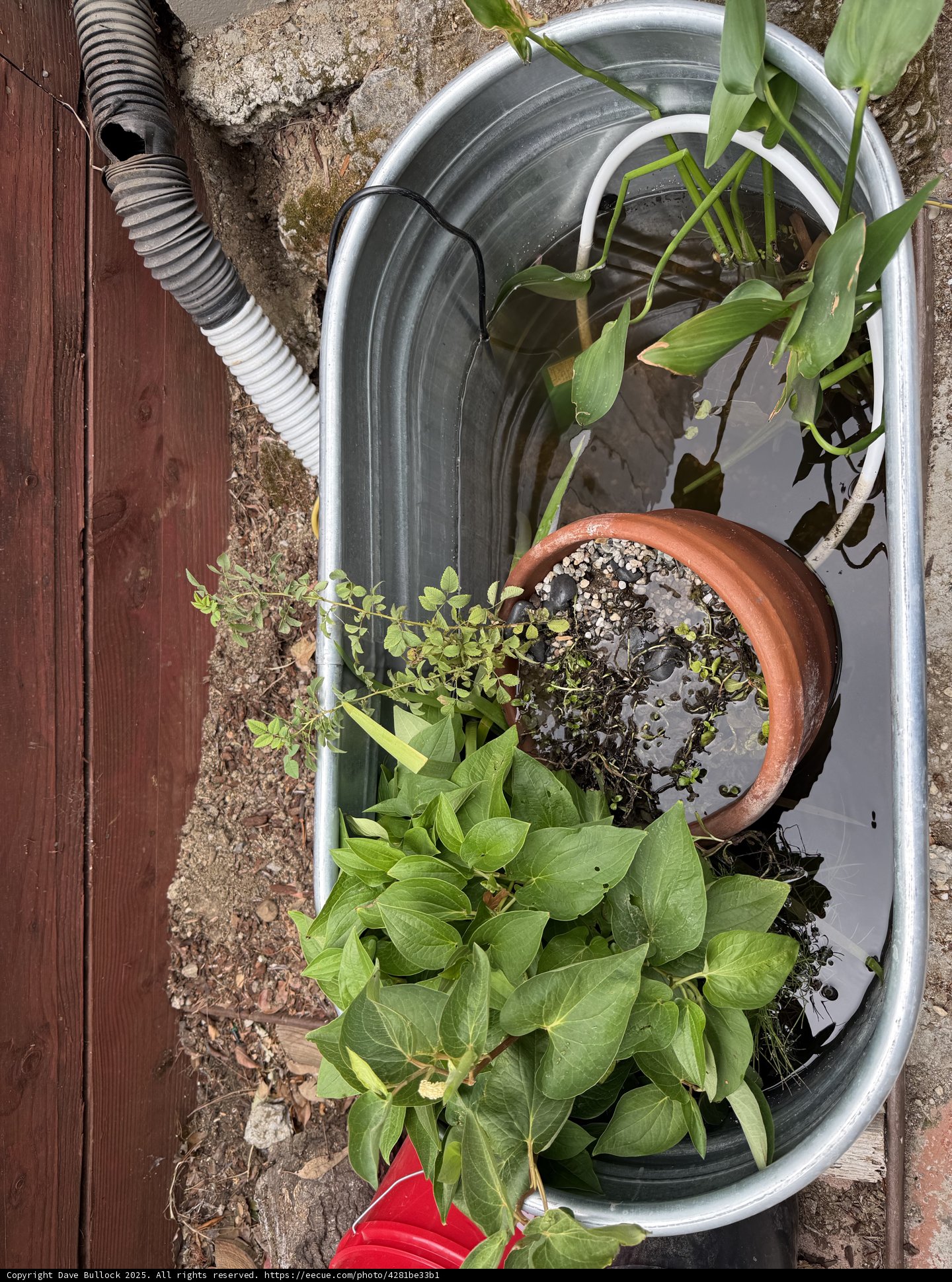 Urban Garden Retreat