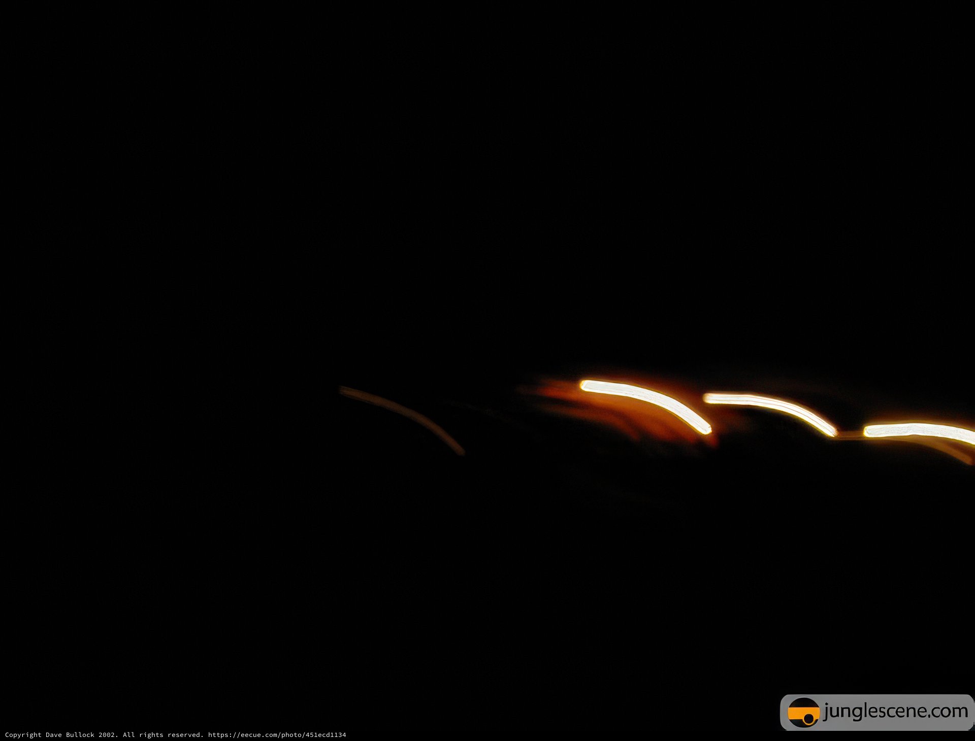 Night Drive with Sparkling Skies