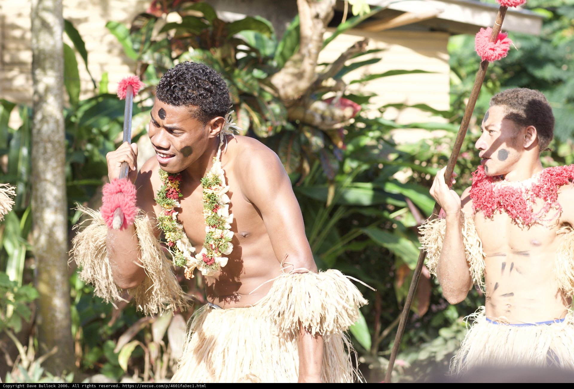 Polynesian Performance