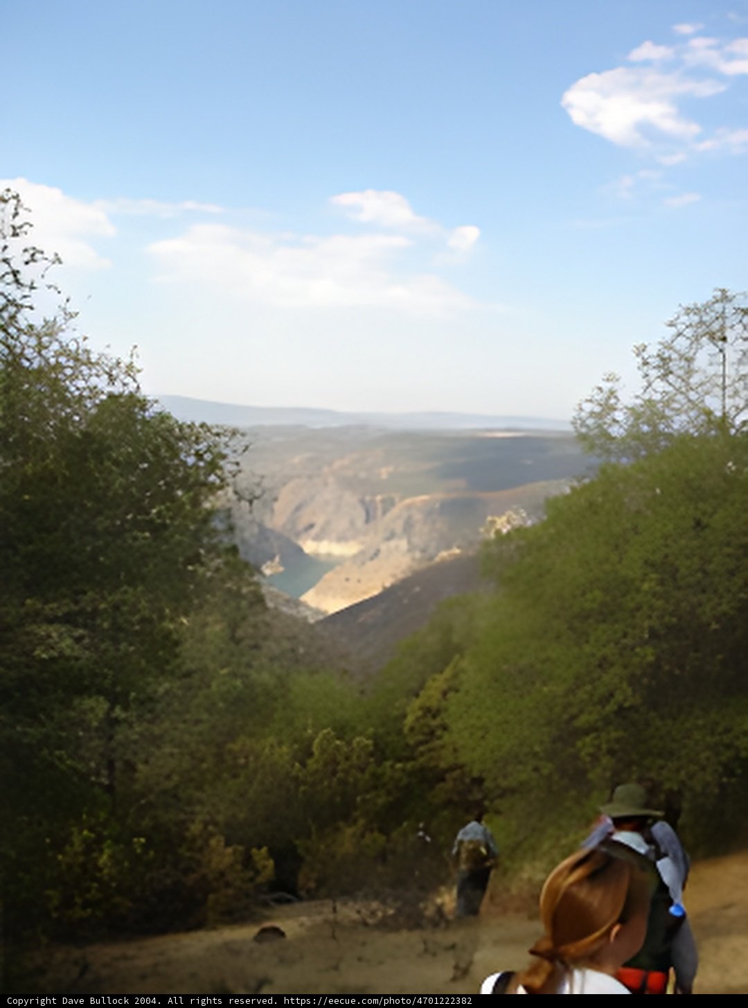 Wild Adventure in the Valley